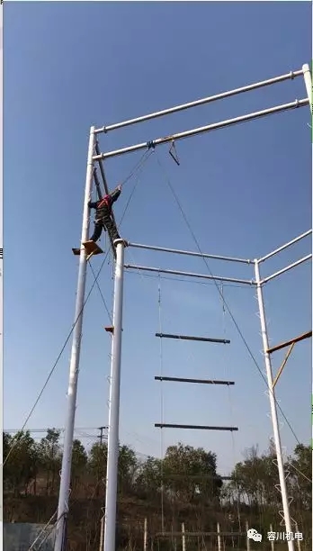 三十強(qiáng)飼料品牌